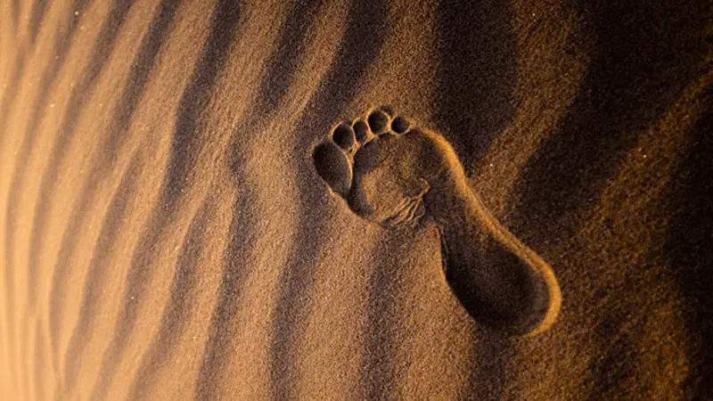 Inspiring Foot Print In The Sand Quotes