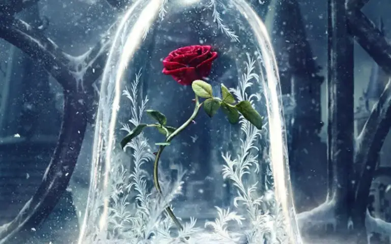 55+ Beauty And The Beast Quotes About The Rose