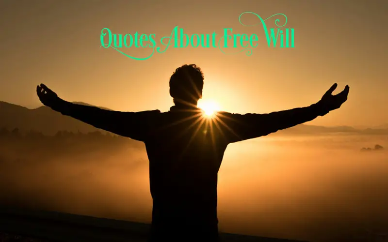 quotes about free will