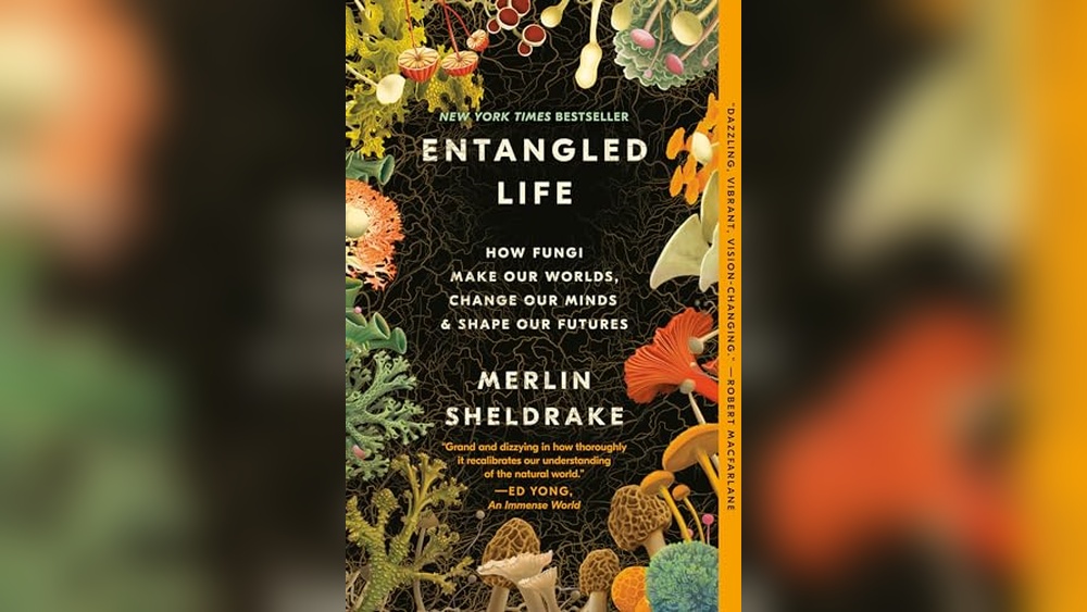 Best Book About Mushrooms